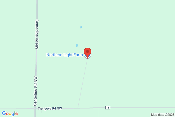 Northern Minnesota Cattle Yard