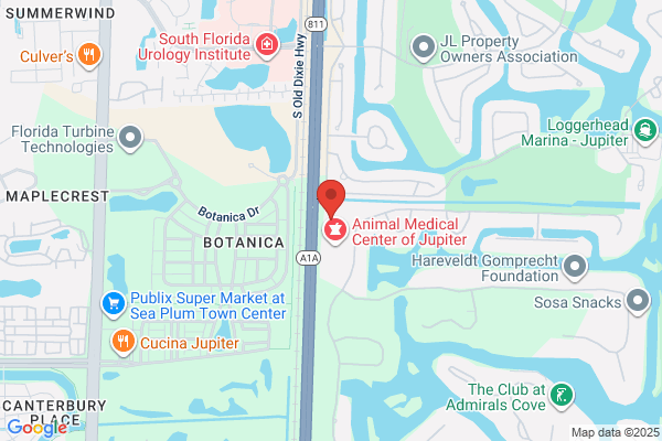 Garine Prosthodontics, PA