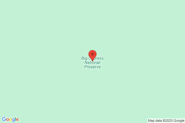 Big Cypress Properties