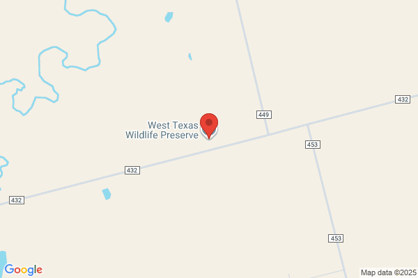 West Texas Wildlife Company