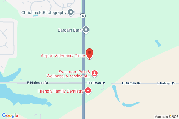 Airport Veterinary Clinic