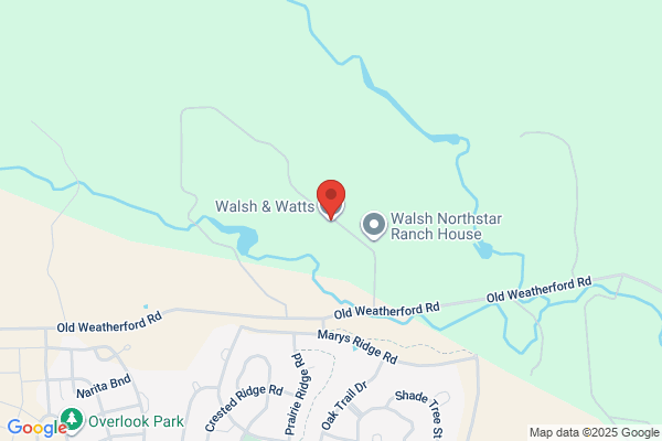 Walsh Offshore Inc