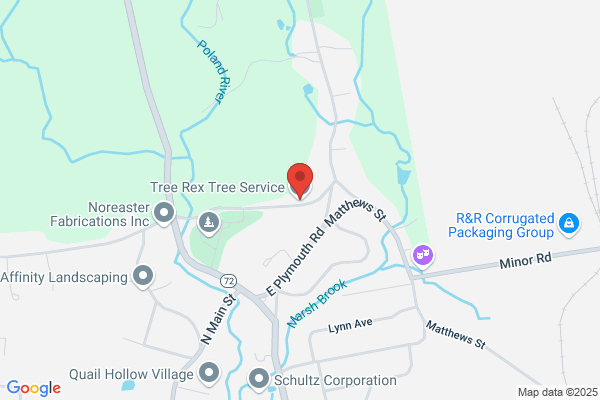 Tree Rex Tree Service LLC