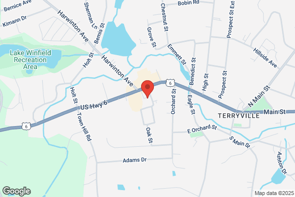 Iga Supermarkets, Terryville Iga