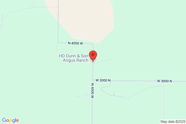Wild Bunch Ranch Inc