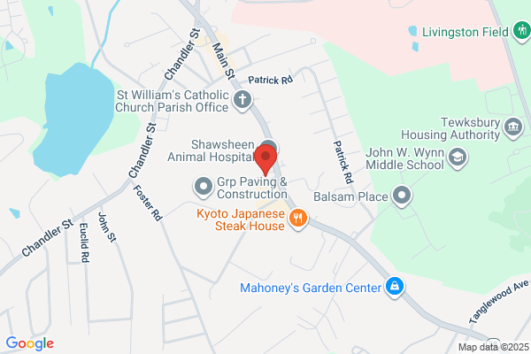 Shawsheen Family Dental