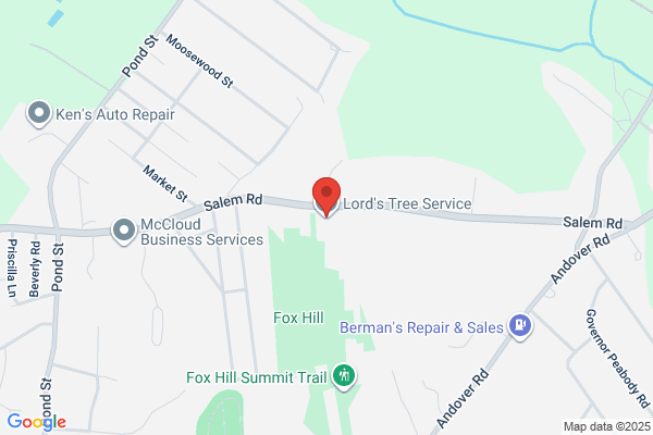 Lord's Tree Service