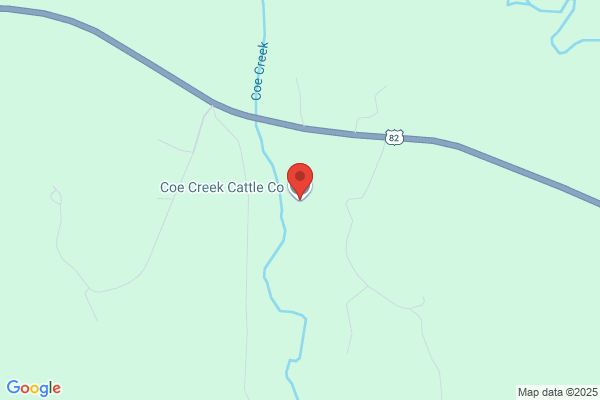 Days Creek Operating Co Inc