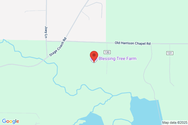 Blessing Tree Farm