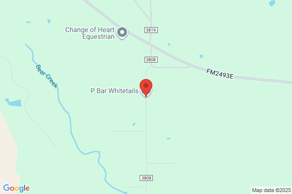 CC Bar Whitetails