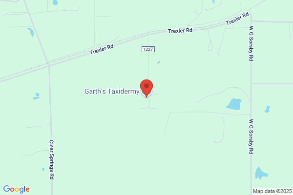 Advantage Taxidermy Studios