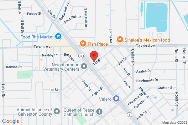 Associated Credit Union of Texas - La Marque