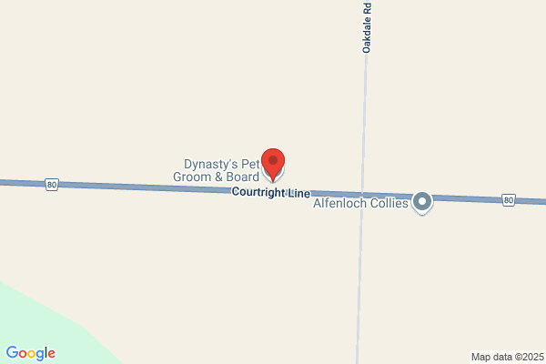 Dynasty Kennels