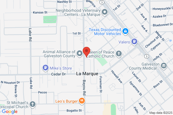 La Marque City of, Library