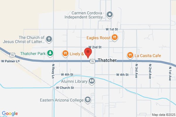 Thatcher City Government