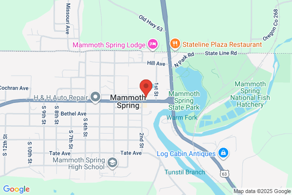 Mammoth Spring Bank