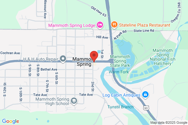 Mammoth Spring Dental Clinic LLC