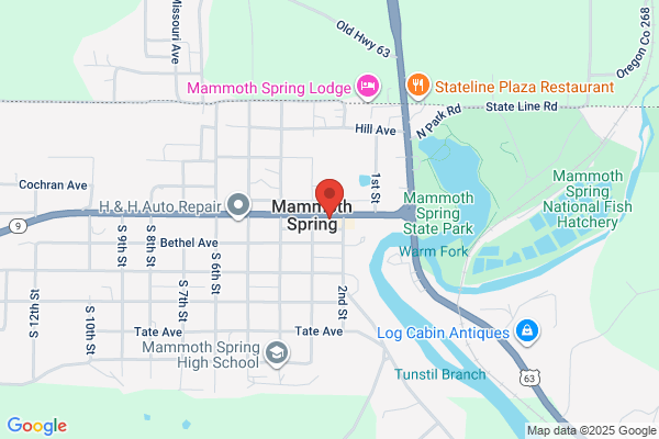Mammoth Spring Florist