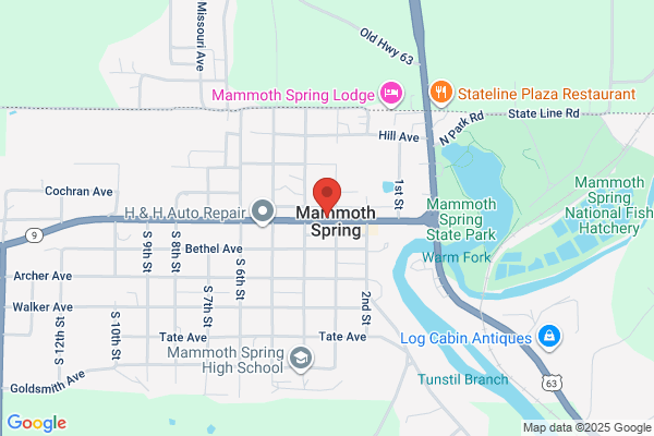 Mammoth Spring Library
