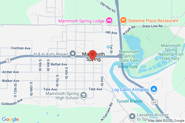 Mammoth Springs Police Department