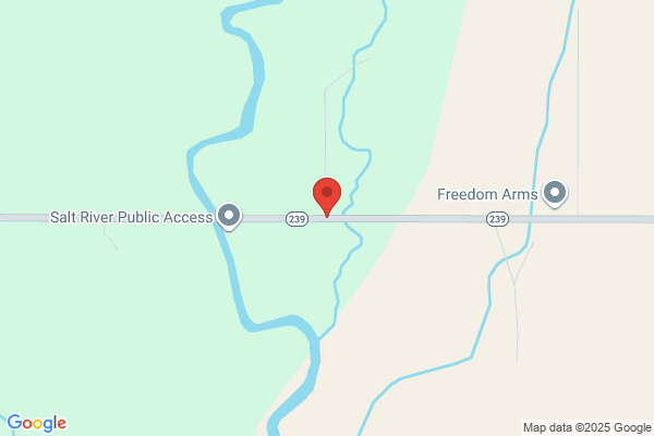 Freedom Automotive Inc