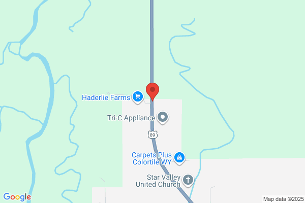 Hi Mountain Floral
