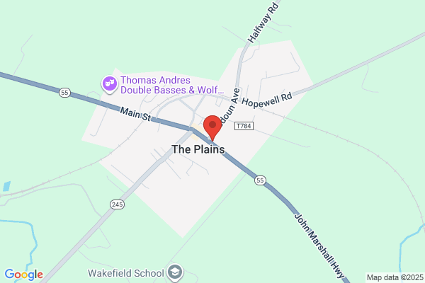 Virginia National Bank: The Plains