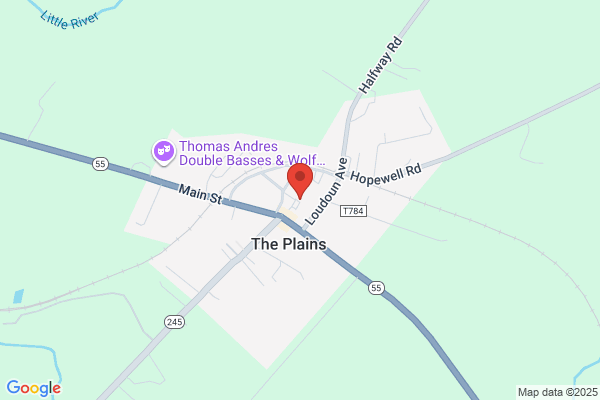 The Plains Service Center Inc