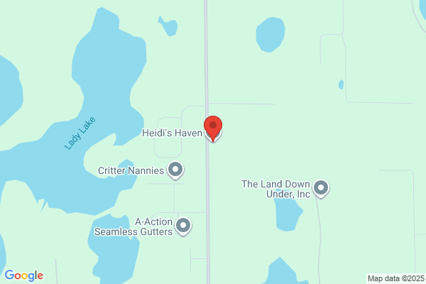 Heidi's Haven