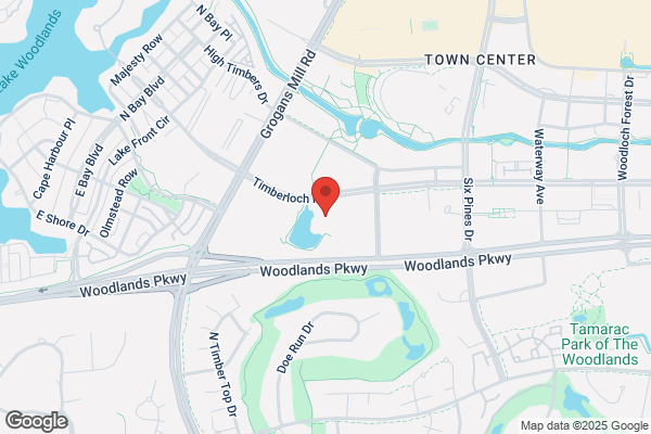 The Woodlands TX Carpet Cleaning