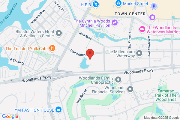 Carpet Cleaner The Woodlands
