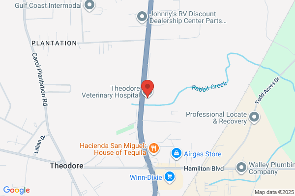 Theodore Veterinary Hospital