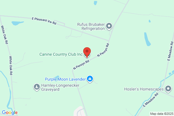 Canine Country Club Inc