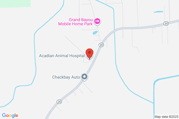 Acadiana Animal Hospital
