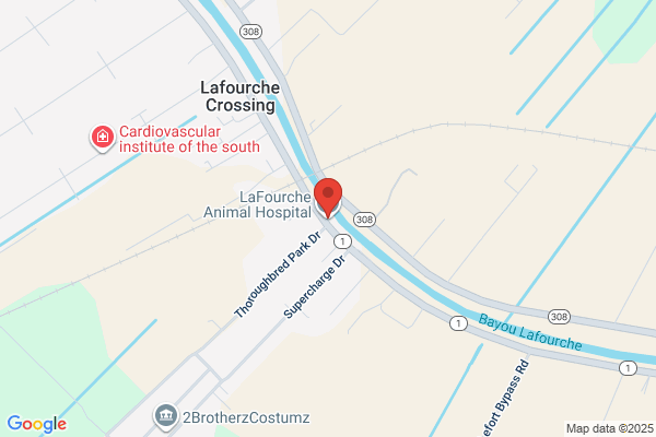 Lafourche Animal Hospital