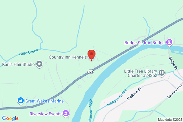 Country Inn Kennel