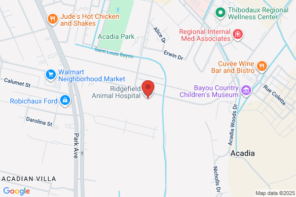 Ridgefield Animal Hospital