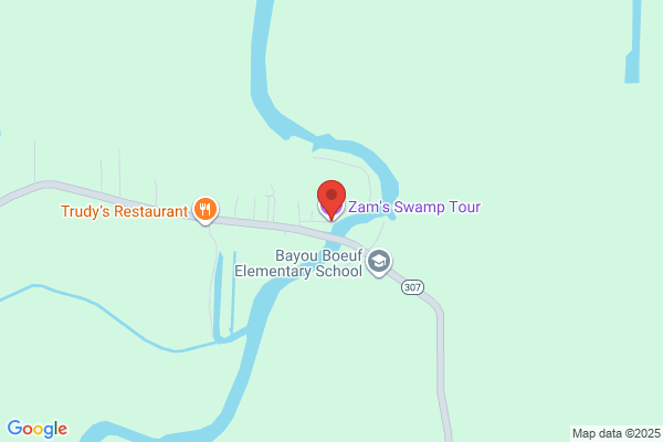 Zams Swamp Tour
