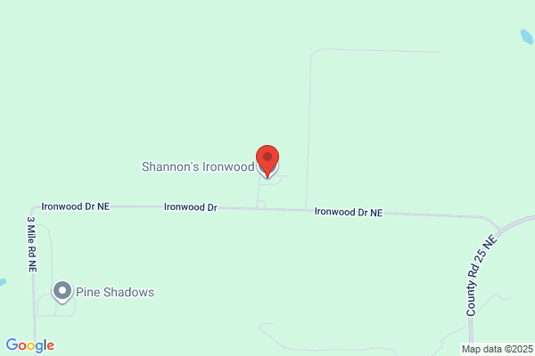 Shannon's Precision Paint and Body Shop