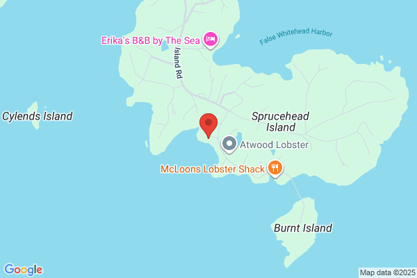 Serenity On the Oyster