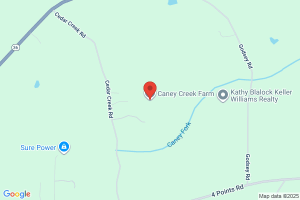 Coon Creek Farms