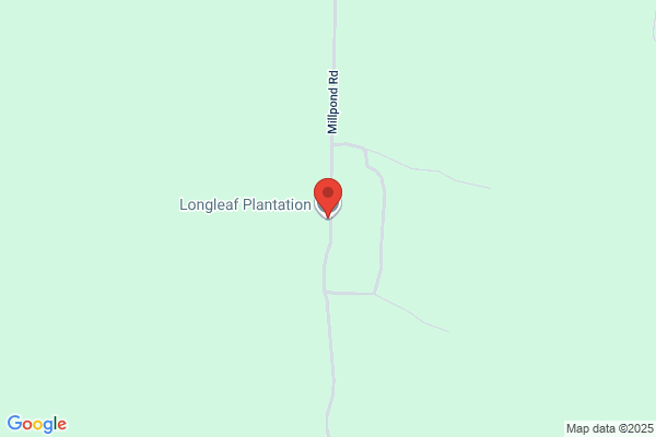 Longleaf Plantation