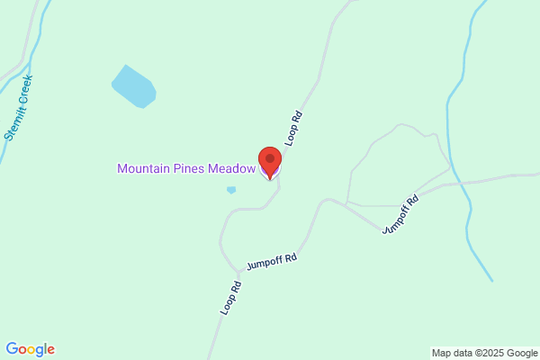 Pine Meadows Llc