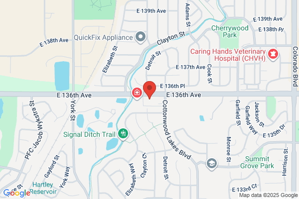 Appletree Dental