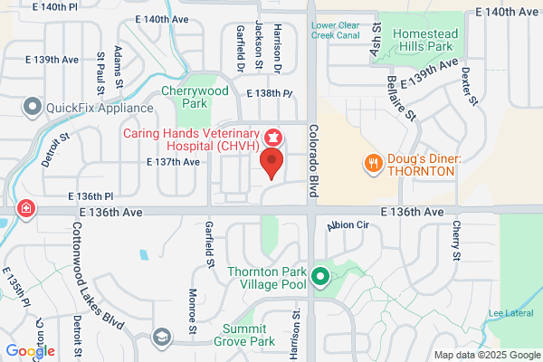 Comfort Dental Hunters Glen - Your Trusted Dentist in Thornton
