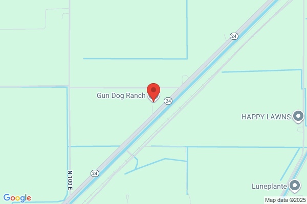 Gun Dog Ranch Studio