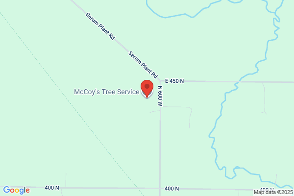McCoy's Tree Service