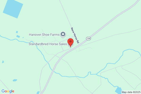 Executive Standardbred