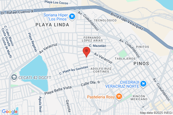 Ml Lindo Veracruz