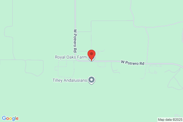 Royal Oaks Dressage